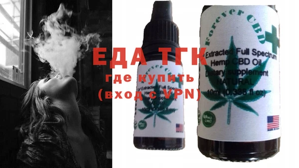 индика Пестово