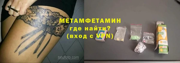 индика Пестово