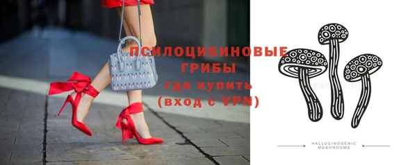 сатива Пересвет