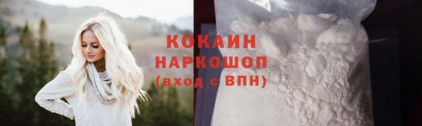 сатива Пересвет