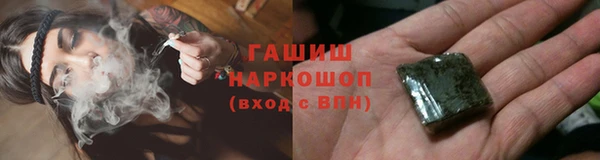 индика Пестово