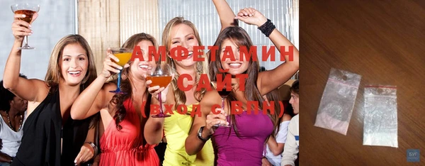 индика Пестово