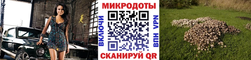 Галлюциногенные грибы MAGIC MUSHROOMS  Купить закладки  Мурманск 